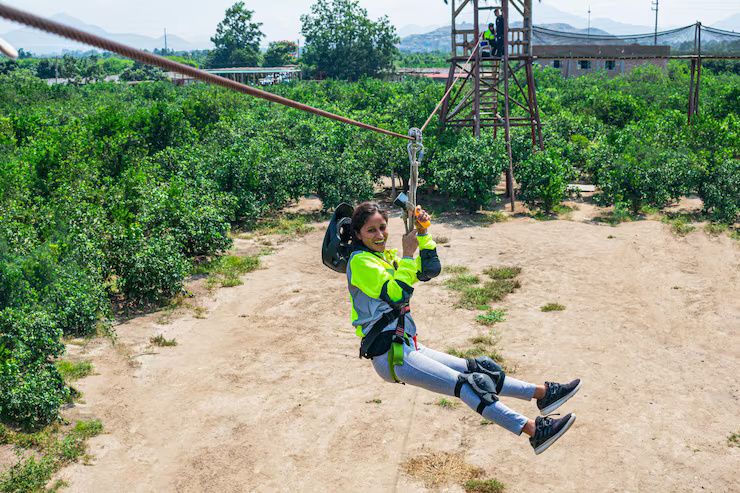 Tirolesas entre Árboles: Visión General, Tipos de Recorridos y Recursos Útiles